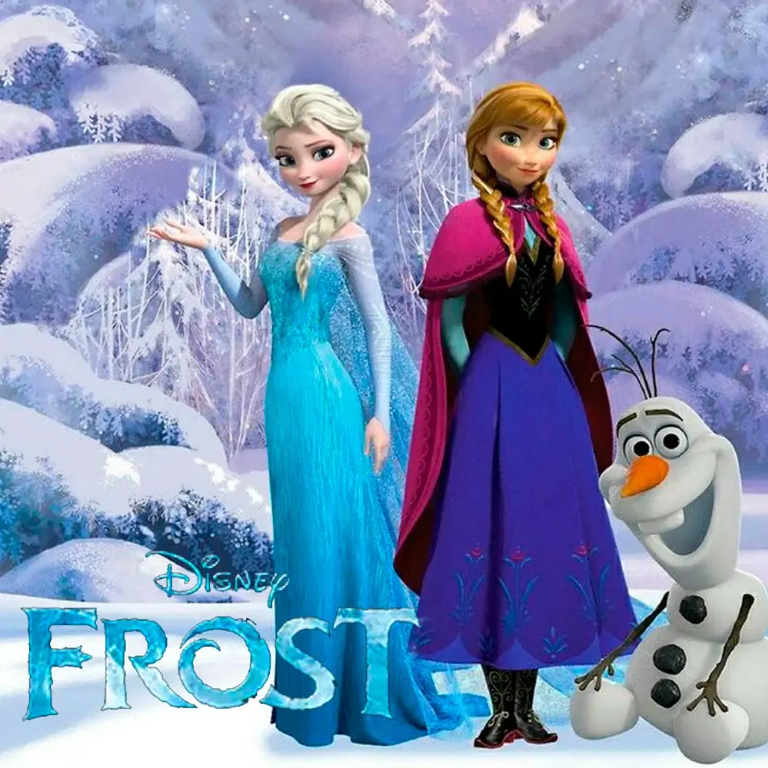 Disney Frost tøj og tilbehør