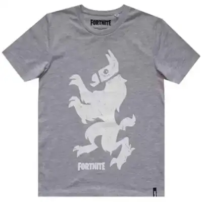 Fortnite-t-shirt-kortærmet-grå-10-16-år