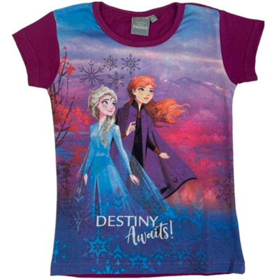 Disney-Frost-t-shirt-kortærtmet-pink-3-8år-Destiny