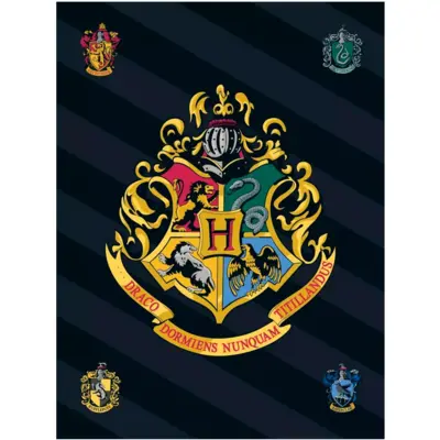 Harry-Potter-Fleece-Tæppe-100-x-140-Four-Houses