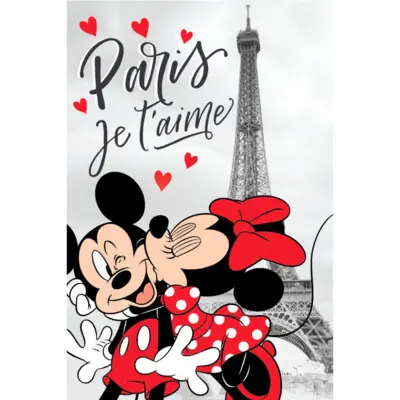 Minnie-Mouse-Fleece-tæppe-100-x-150-love-paris