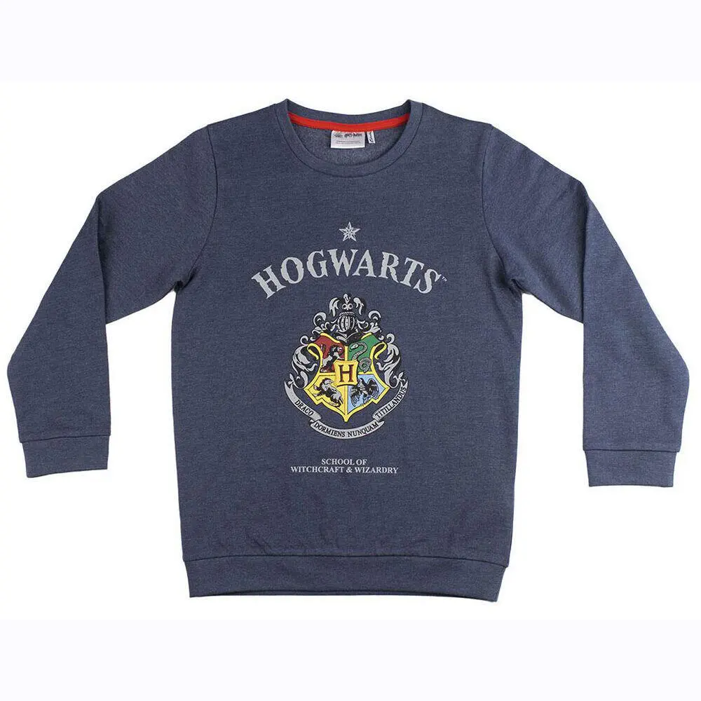 Harry Potter Sweatshirt Hogwarts | 1-3