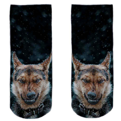 Black-White-German-dog-motif-strømper-str.-37-40