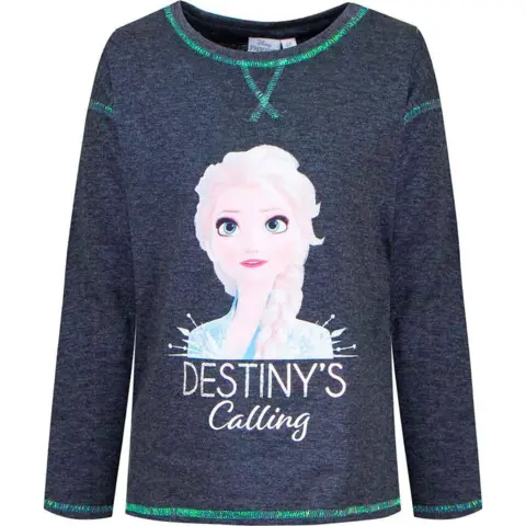 Disney Frost grå t-shirt destiny calling