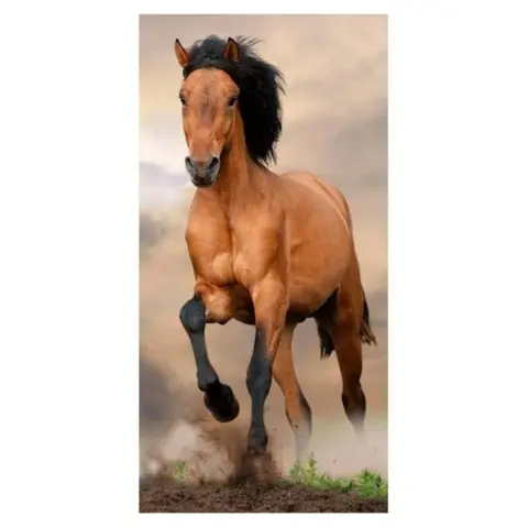 Badehåndklæde brun hest 70x140