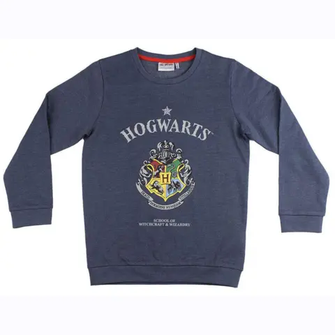 Harry Potter sweatshirt Hogwarts