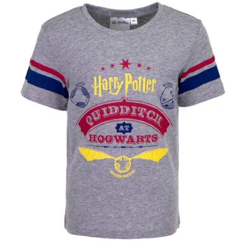 Harry Potter Quidditch t-shirt med korte ærmer i grå