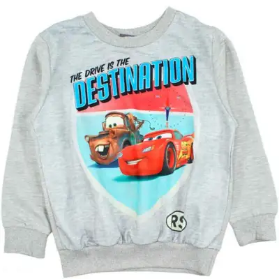 Disney Cars Sweatshirt Grå 3-8 år Destination