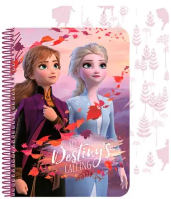 Disney Frost Notesbog A5 Destiny