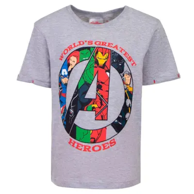 Avengers Kortærmet T-shirt Grå Heroes