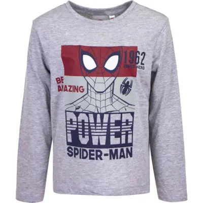 Spiderman T-shirt LS Grå Power Spider-Man