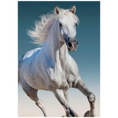 Heste Fleecetæppe 100 x 140 cm