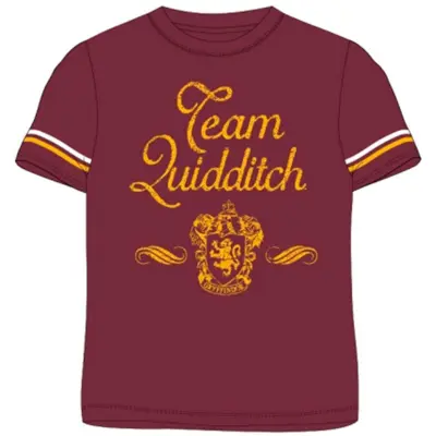 Harry Potter T-shirt Kort Team Quidditch